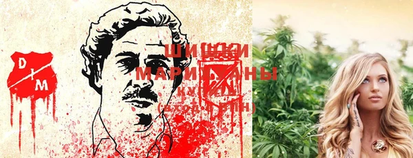 амфетамин Белокуриха