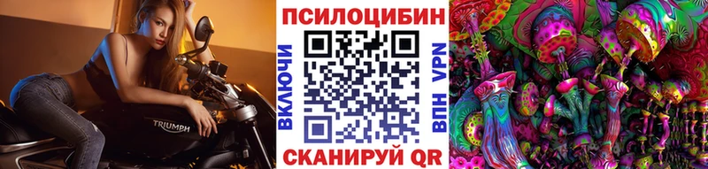 блэк спрут ТОР  Шагонар  Галлюциногенные грибы ЛСД 
